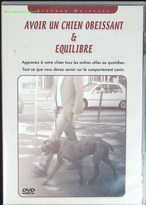 Avoir Un Chien obéissant et équilibré - Stephan Mairesse - DVD