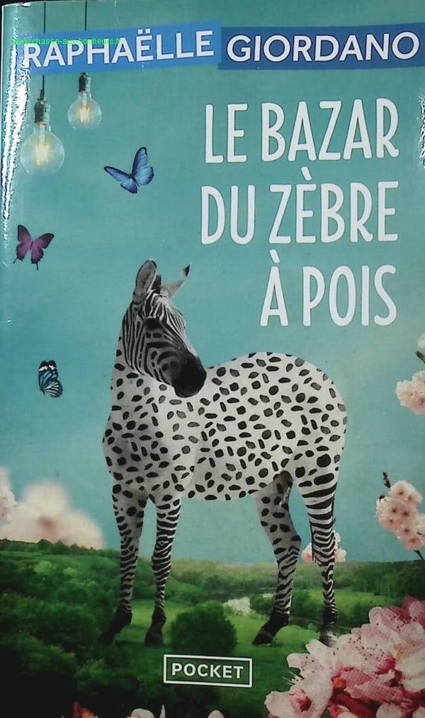 Le Bazar du zèbre à pois - Raphaëlle Giordano - livre
