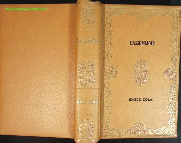 L'assommoir - Emile Zola - livre