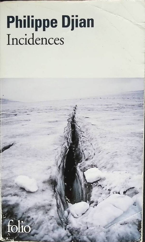 Incidences - Philippe Djian - 2011 - livre