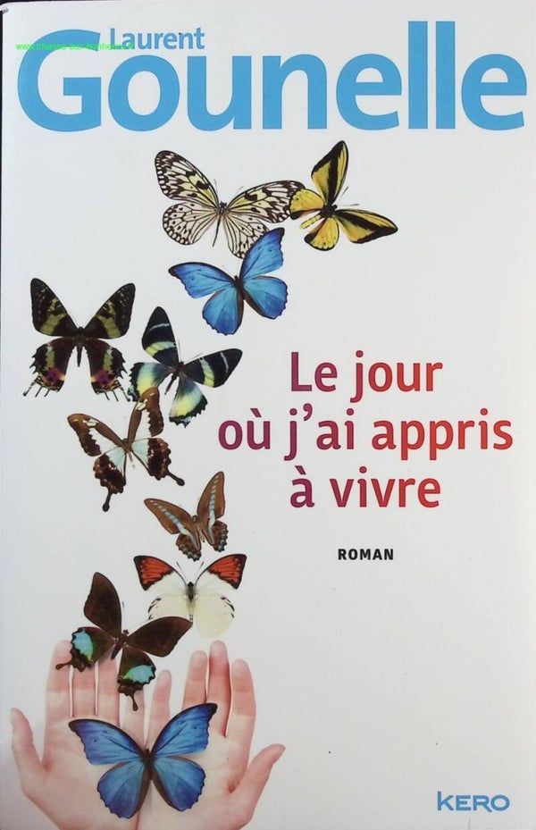 Le jour où j'ai appris à vivre - Laurent Gounelle - Livre