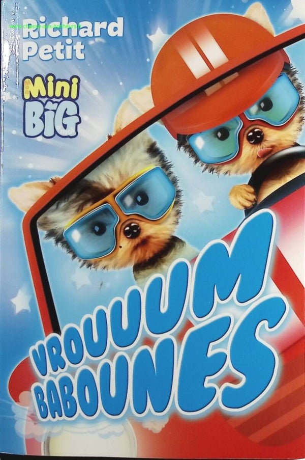 Vrouuum Babounes - Petit, Richard - livre