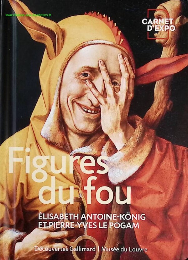 Figures du fou - Pierre-Yves Le Pogam - Livre