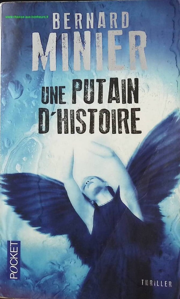 Une putain d'histoire - Bernard Minier - Livre
