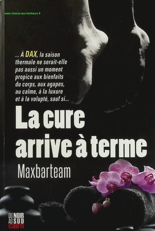 La cure arrive à terme - Maxbarteam - livre