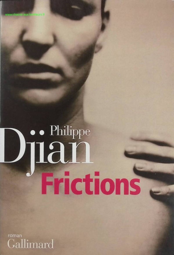Frictions - Philippe Djian - Livre