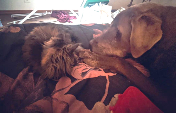 Home Birth Preparation