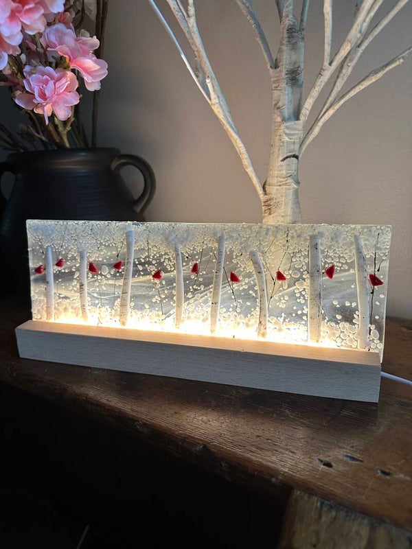 12” x 4" panels with light display pedestal