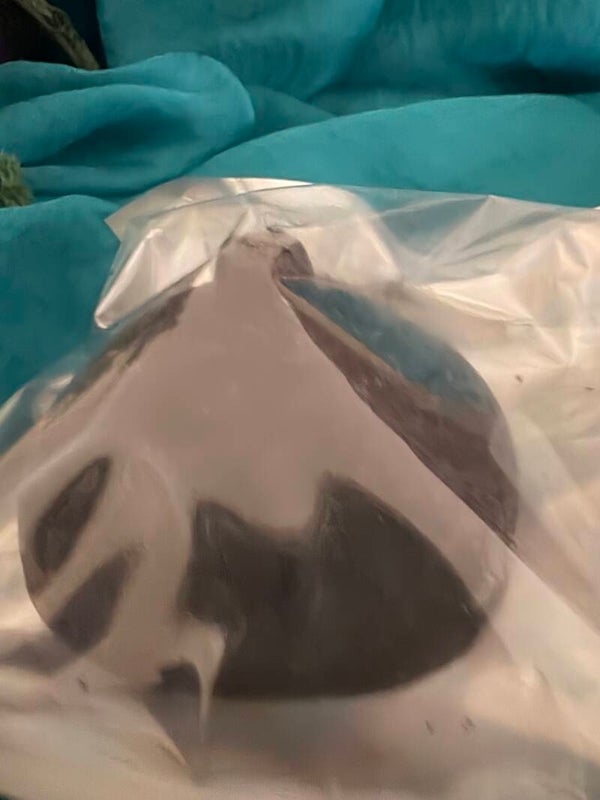 Large Boob Soap