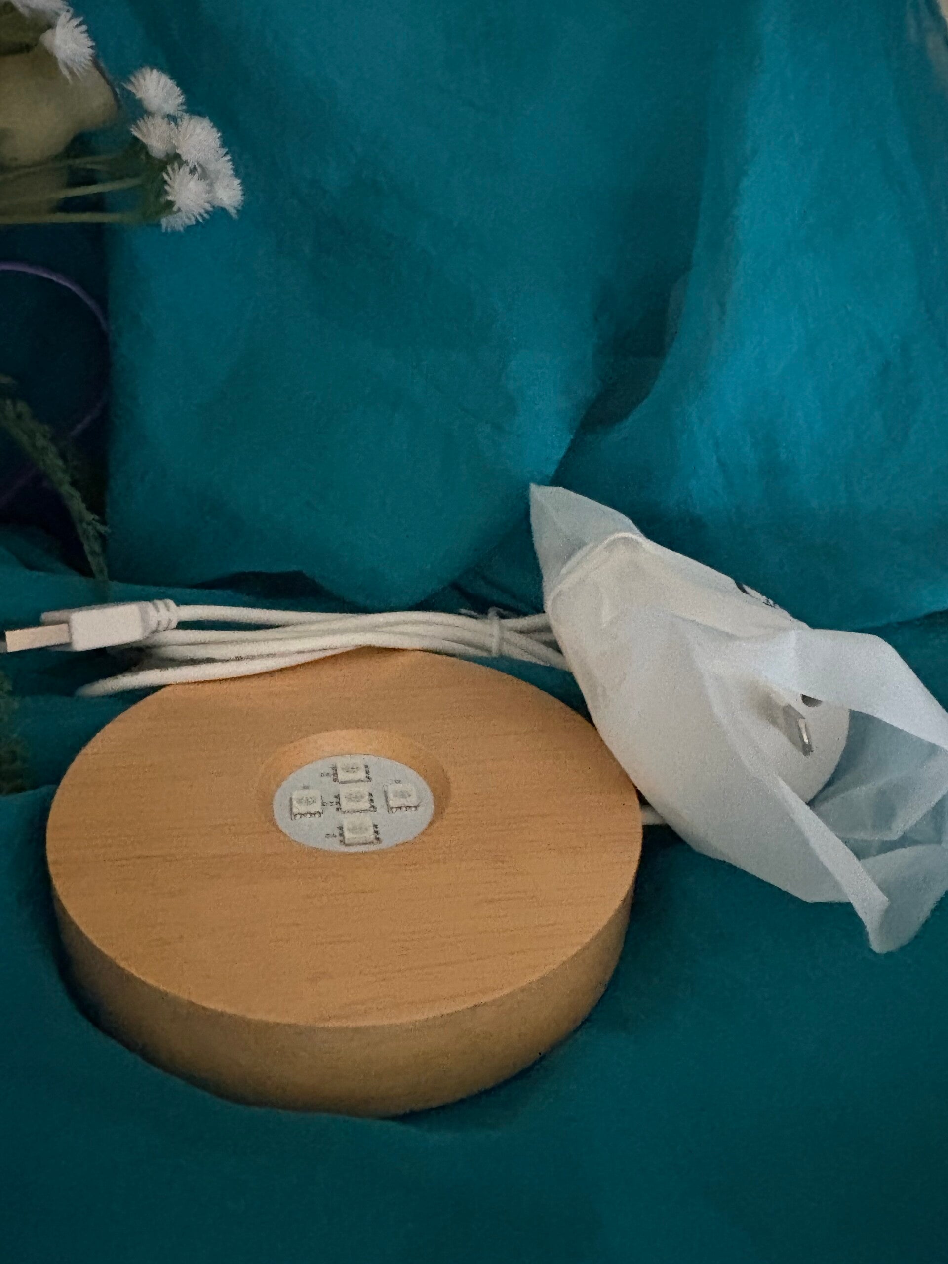 LED electrical cord wooden base light for selenite