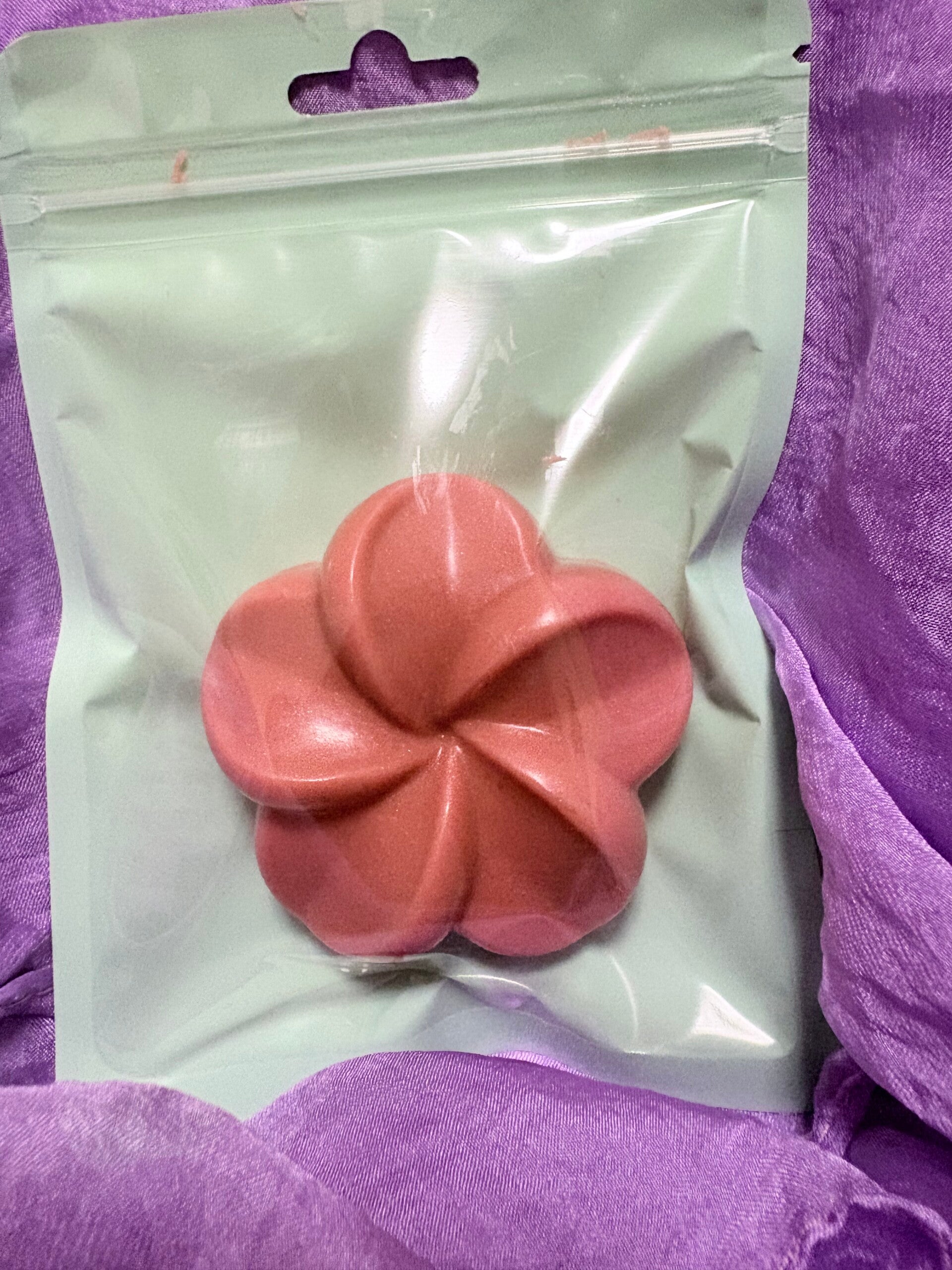 Hibiscus Flower