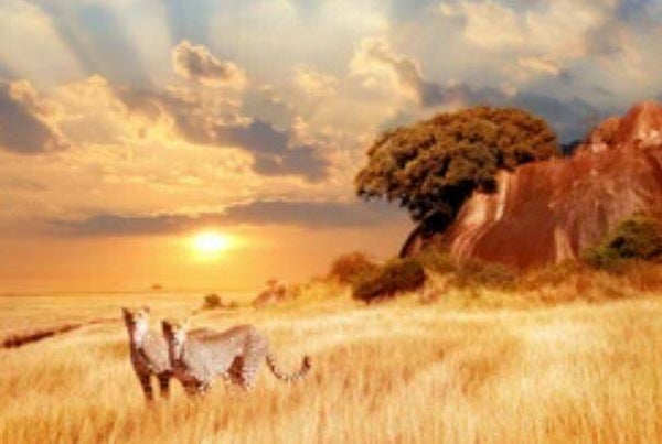 Egatex Wallbehang BM