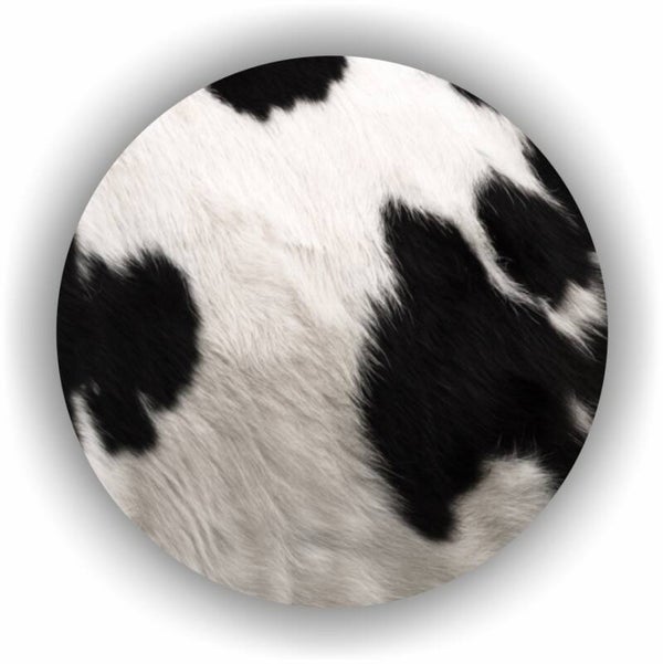 Muur Cirkel Cow