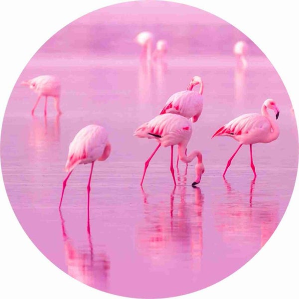 Flamingo Karin 40cm optie 1