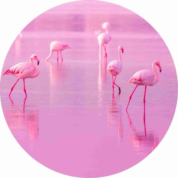 Flamingo Karin 40cm optie 2