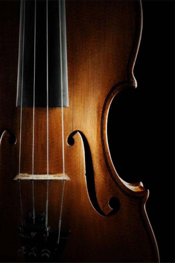 Violin Dibond