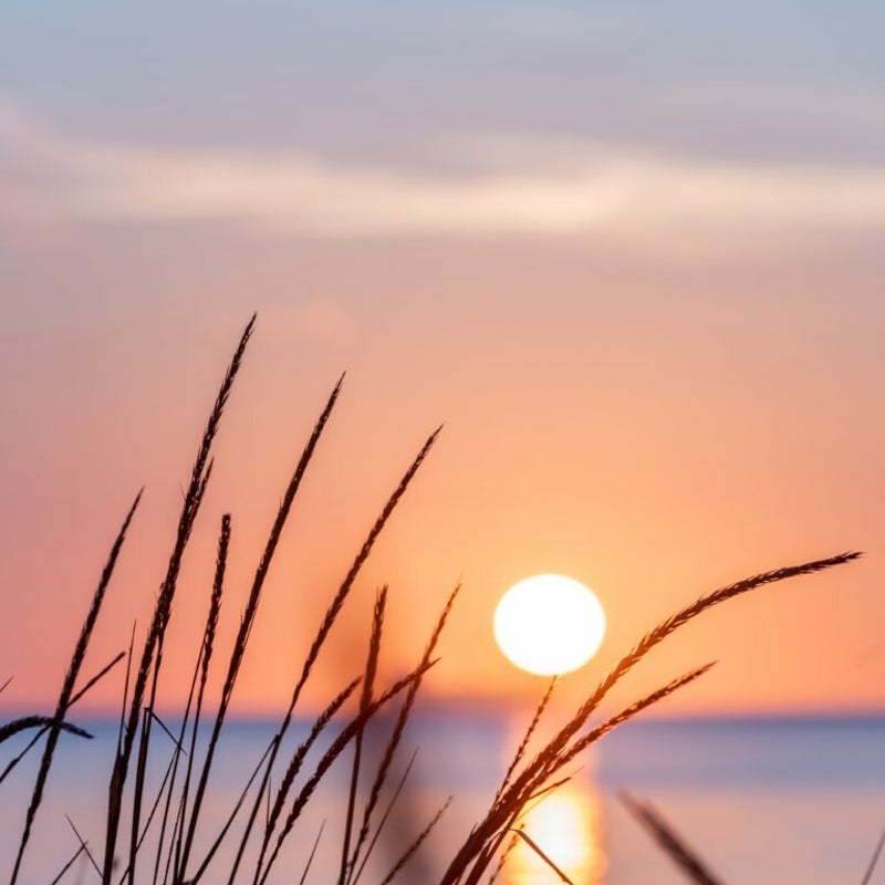shutterstock_1853633731Middel.jpg