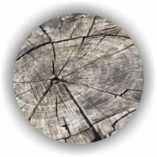 Muur Cirkel Wise