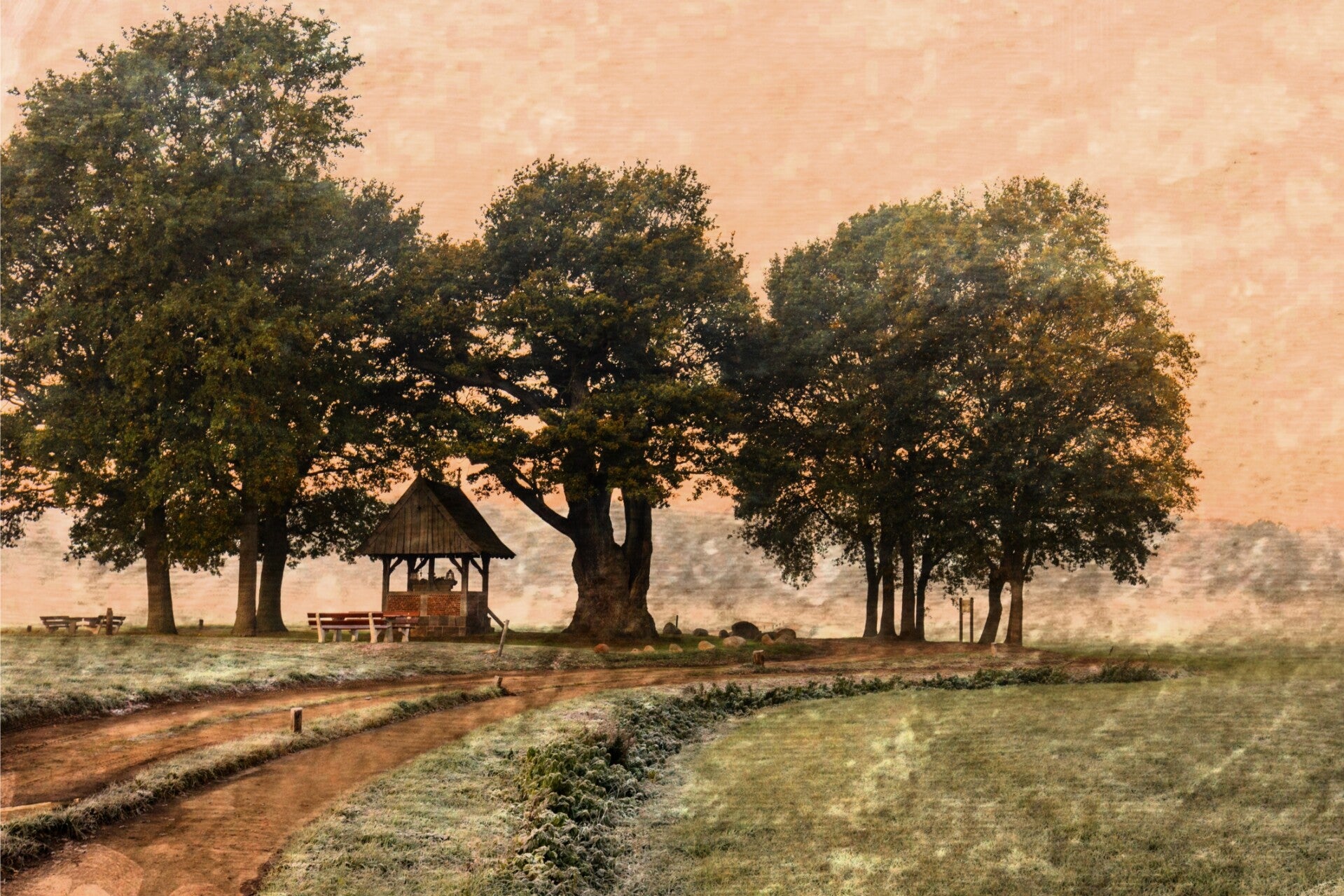 Kroezeboomart Dibond