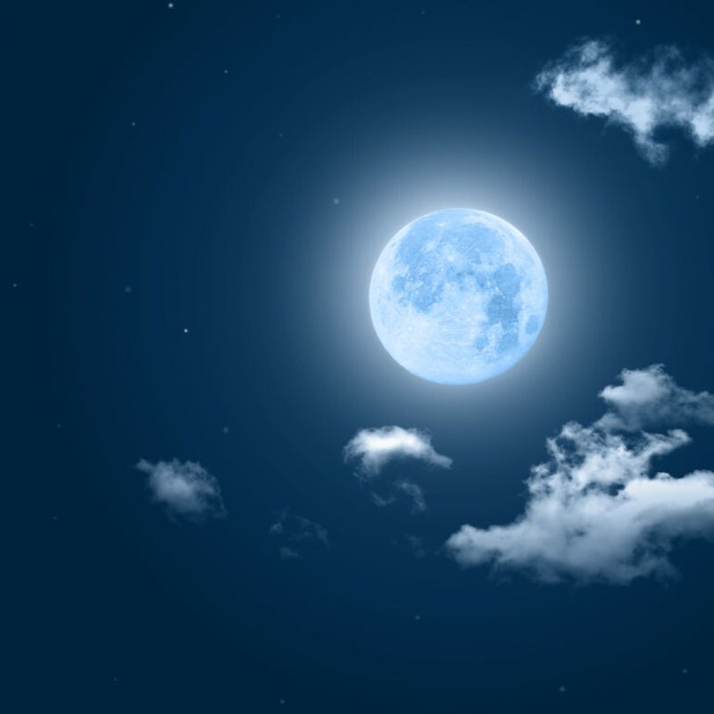 shutterstock_1699831930Middel.jpg