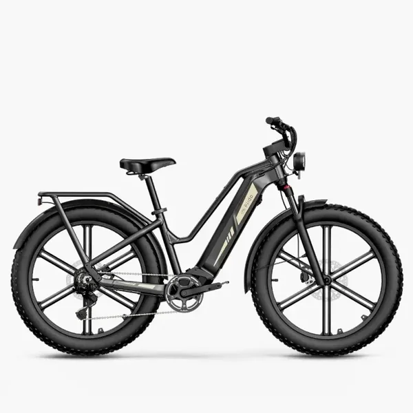 Vélo électrique Titan - Grande Autonomie