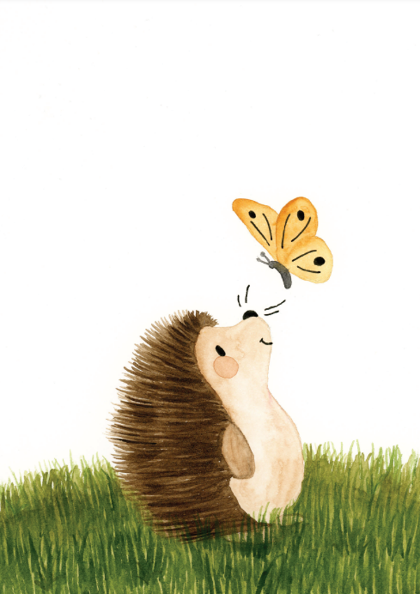 Kaartje: Grote egel met vlinder
