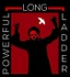 Powerful Long Ladder