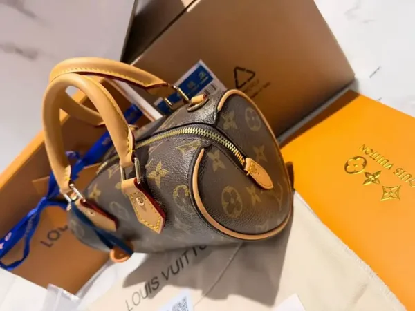 LV HEART