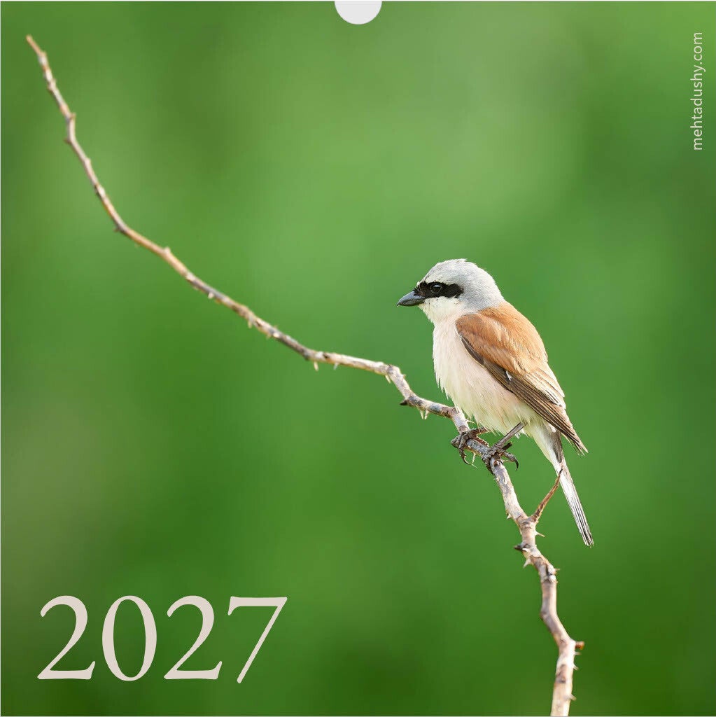 2027 Wildlife Calendar - Writeable