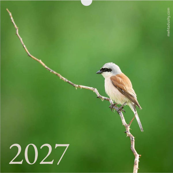 2027 Wildlife Calendar - Writeable