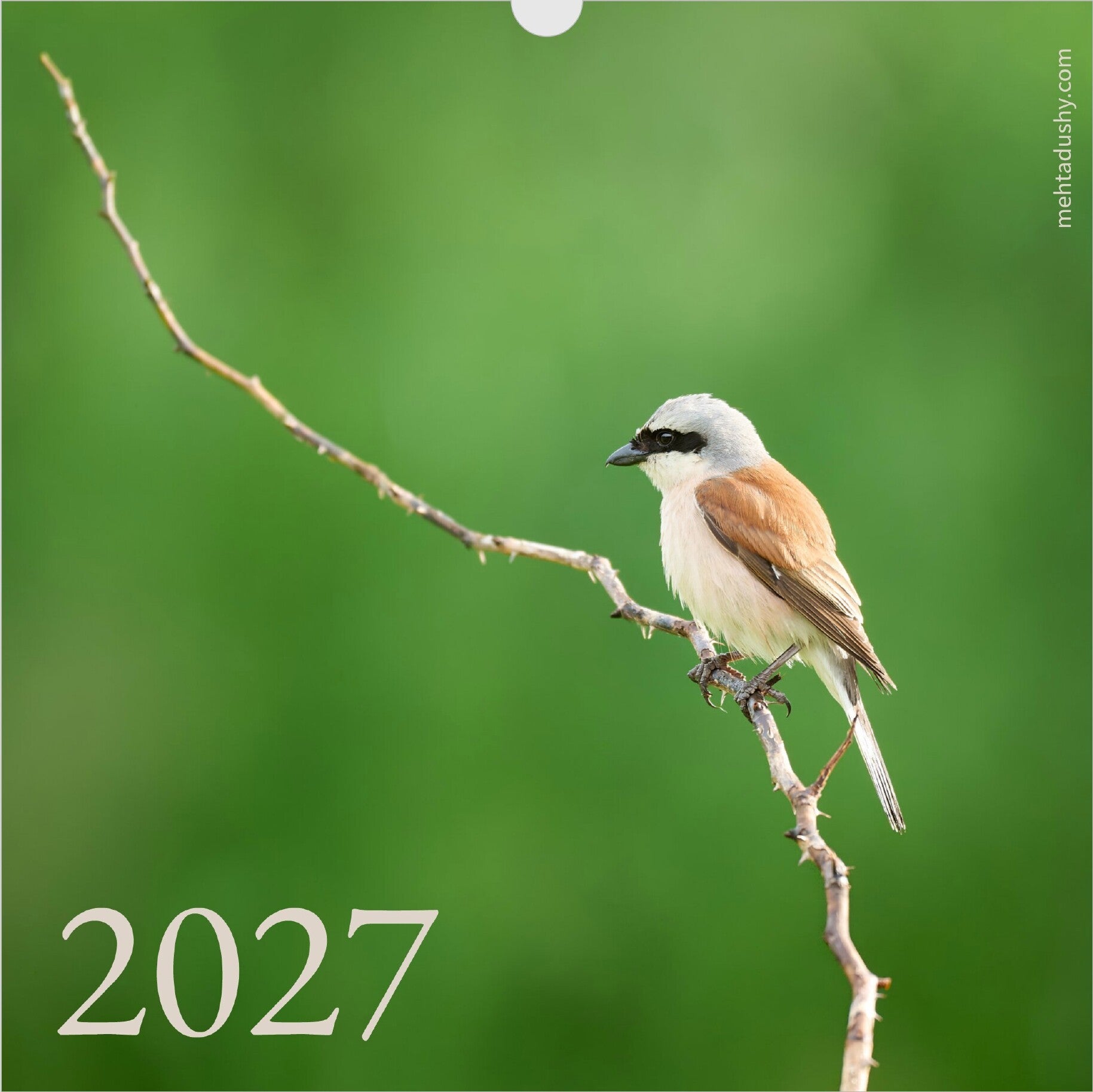 2027 Wildlife Calendar - Writeable