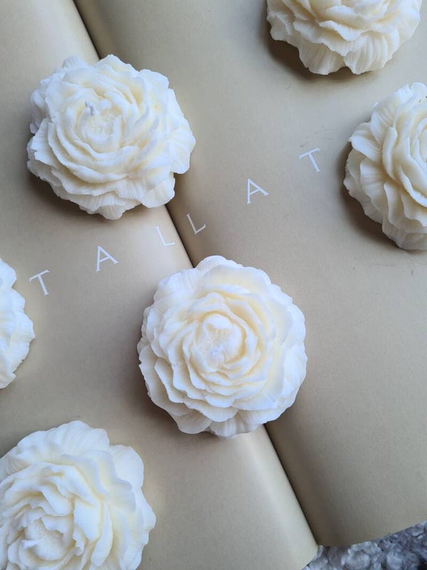 Peony rose