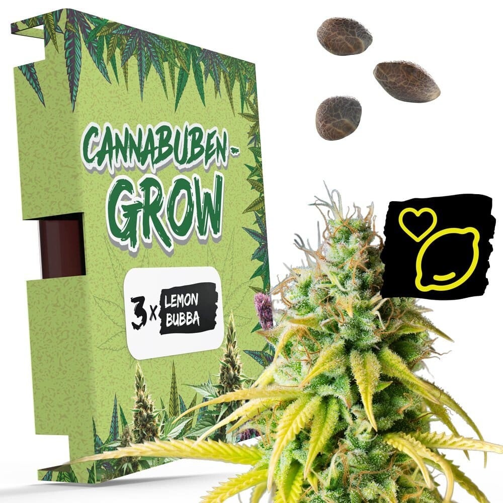      Lemon Bubba - Cannabuben