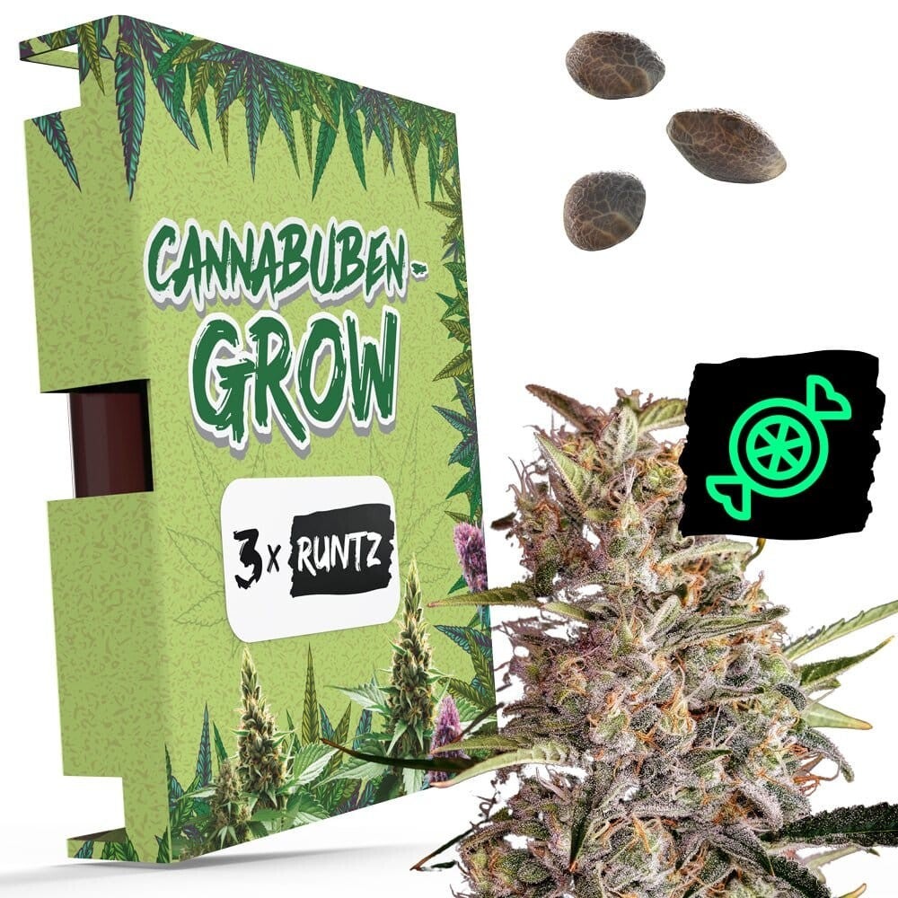    Runtz - Cannabuben