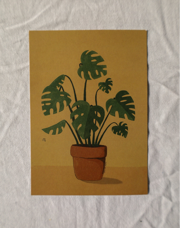Gatenplant