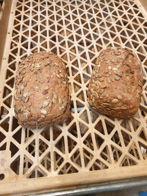 Bio rogge zuurdesem brood