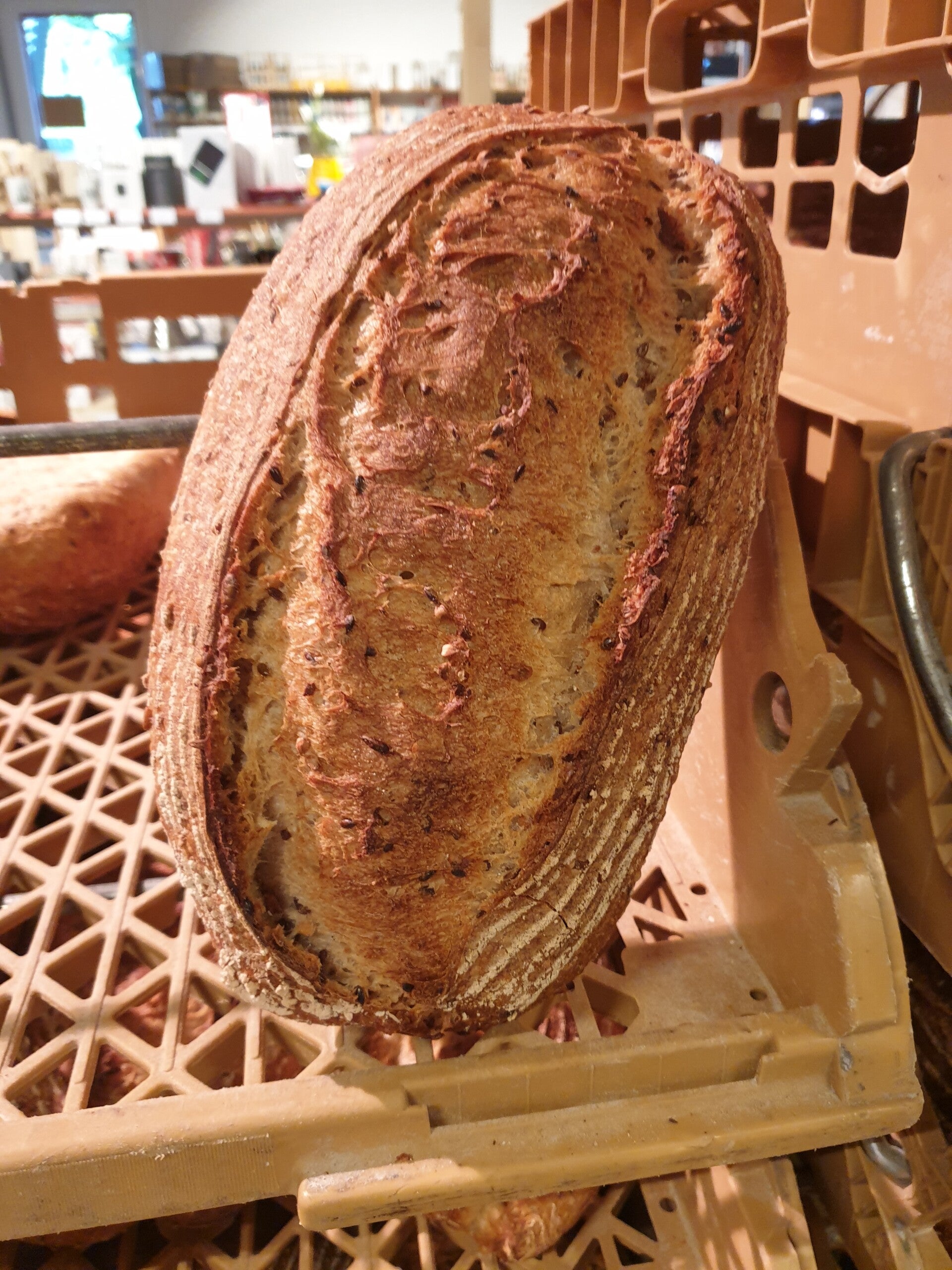 Bio Leuwrik Zuurdesem Brood