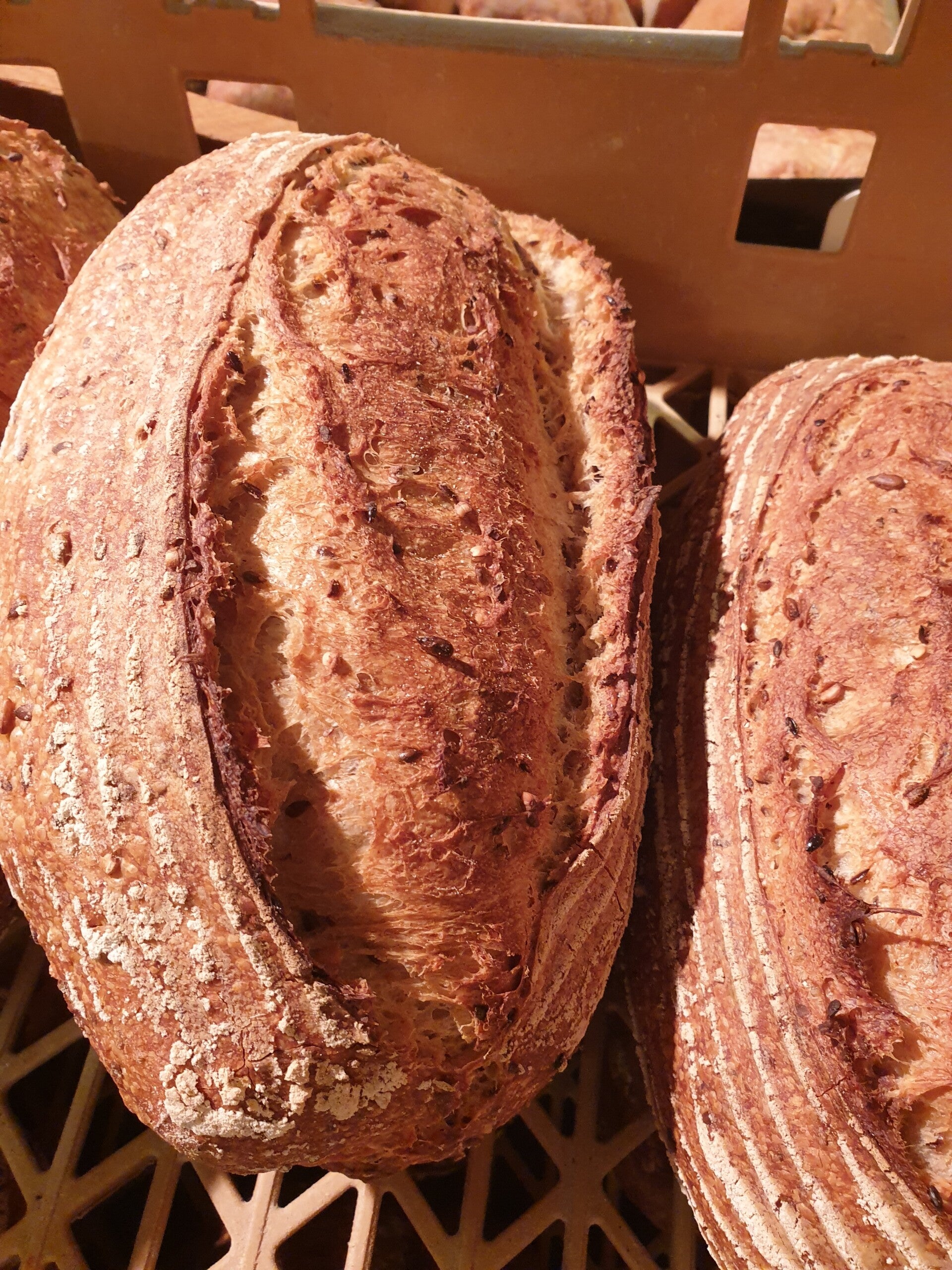 Bio Leuwrik Zuurdesem Brood