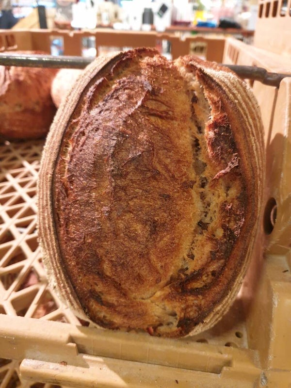 Bio grijs zuurdesem brood