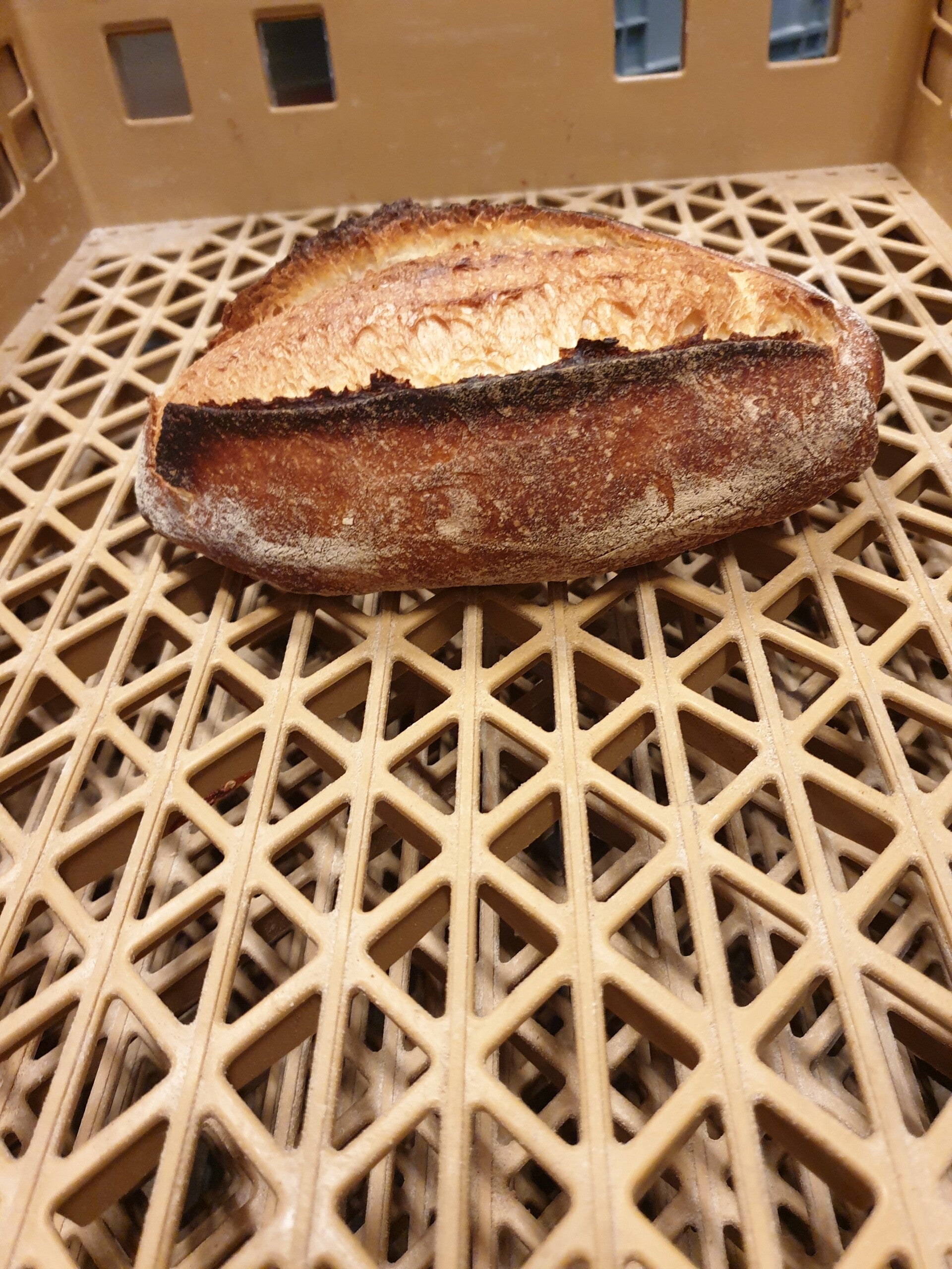 Bio wit zuurdesem brood