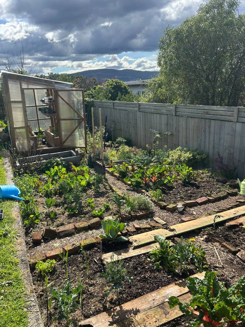 Back pain for gardeners