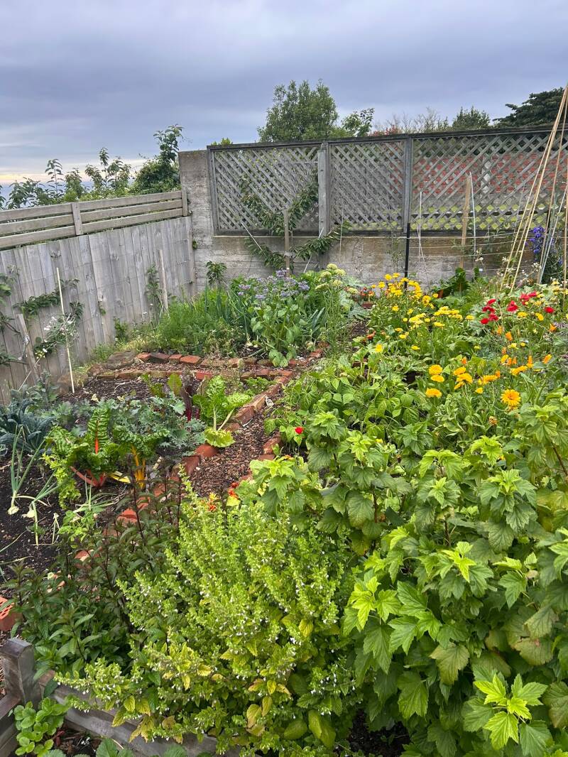 Sore elbow Gardening- Physio