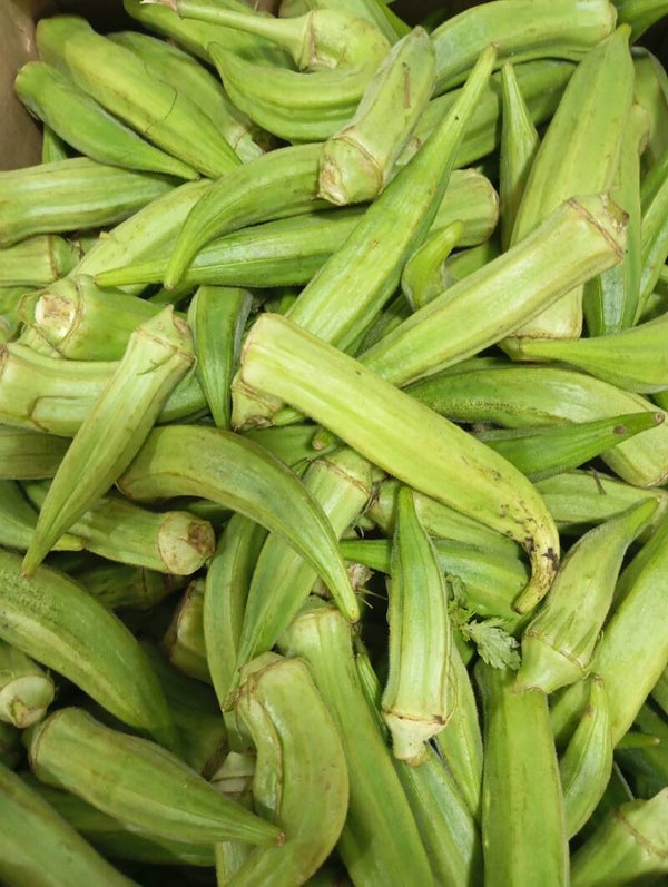 OKRA FRESCA