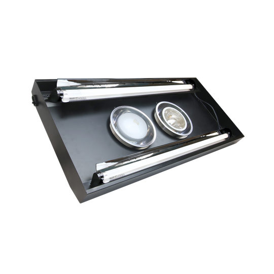 POFET Reptielen Keramische Verwarmingslamp met Guard, Verwarmingsverlichting Infrarood Reptielen Warmte Gloeilamp Houder met Anti Hot Beugel Guard Cage voor Schildpad/Hagedis/Slang/Baardraak 75W POFET Reptielen Keramische Verwarmingslamp met Guard, Verwarmingsverlichting Infrarood Reptielen Warmte Gloeilamp Houder met Anti Hot Beugel Guard Cage voor Schildpad/Hagedis/Slang/Baardraak 75W