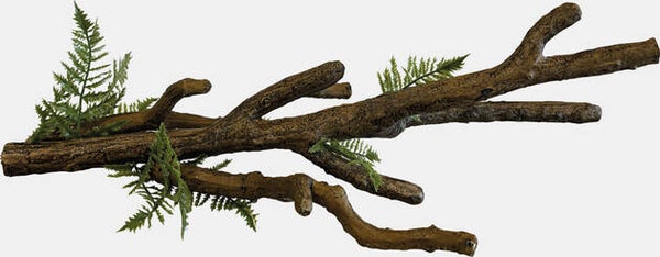 Repto Branch