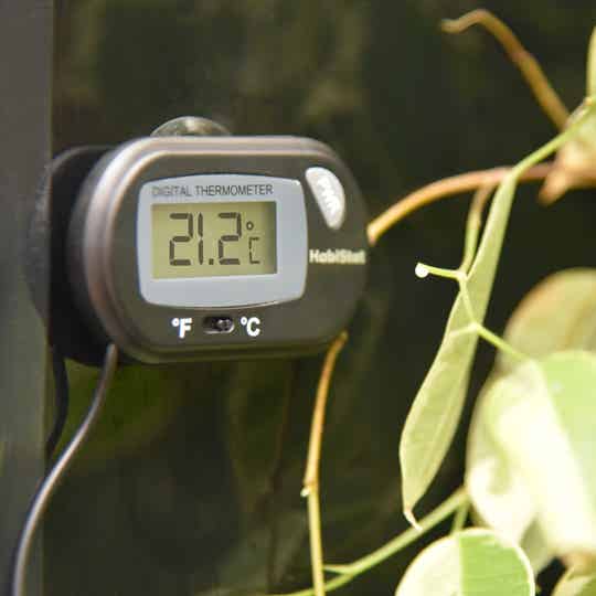 HabiStat Digitale Thermometer