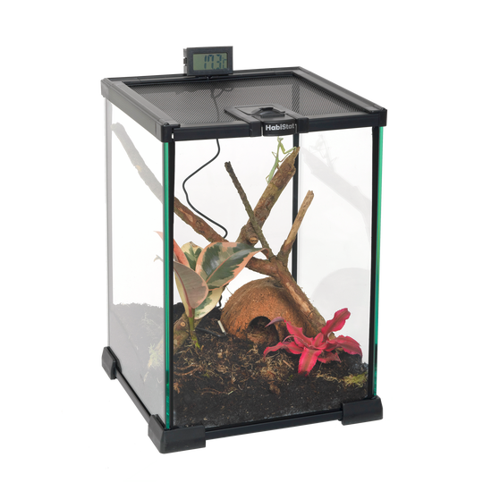 HabiStat glazen terrarium