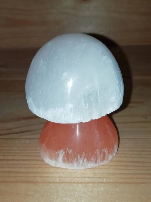 Paddestoel seleniet satijnspaat 58x42mm