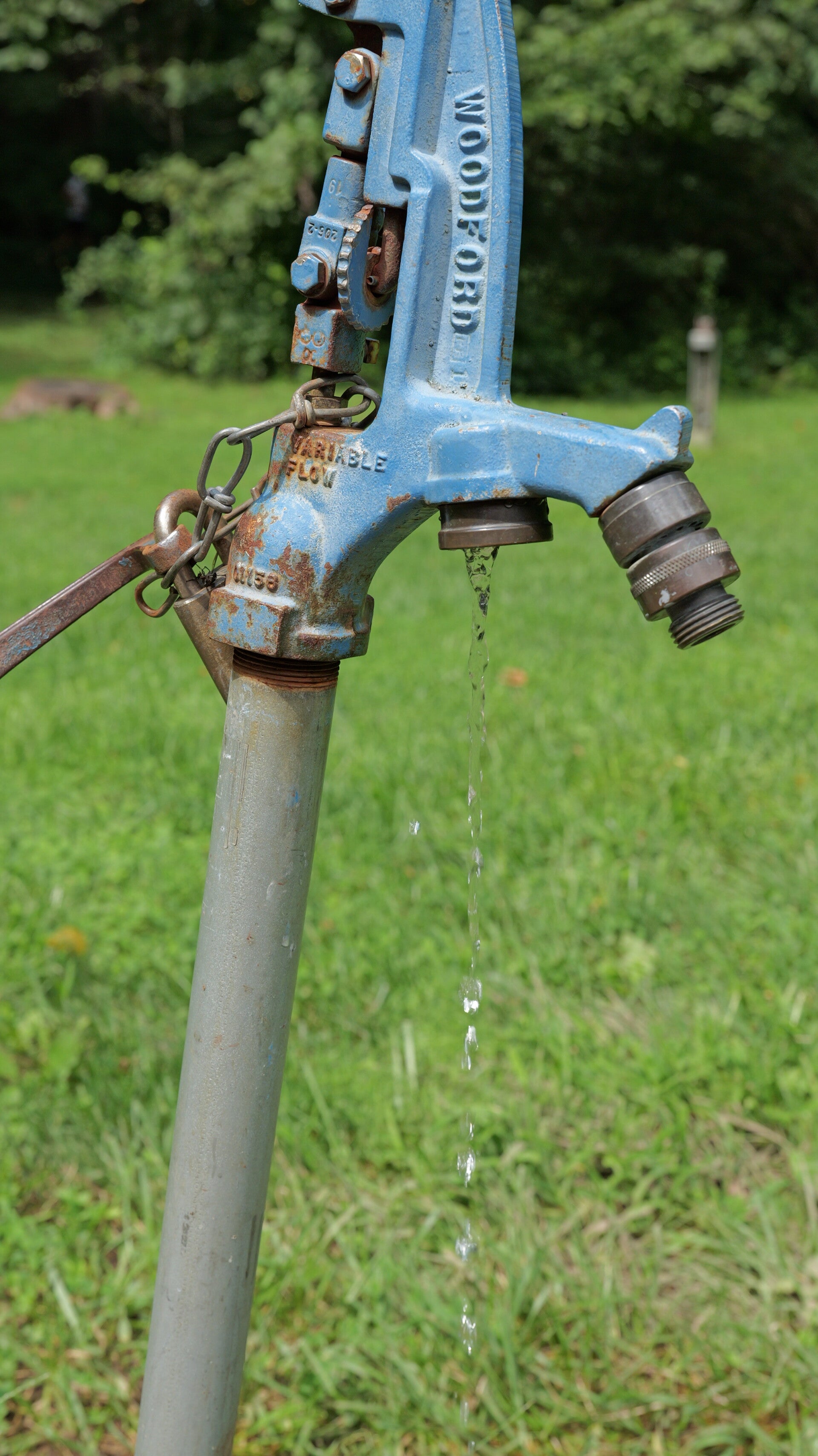 p1005388-standard.jpg