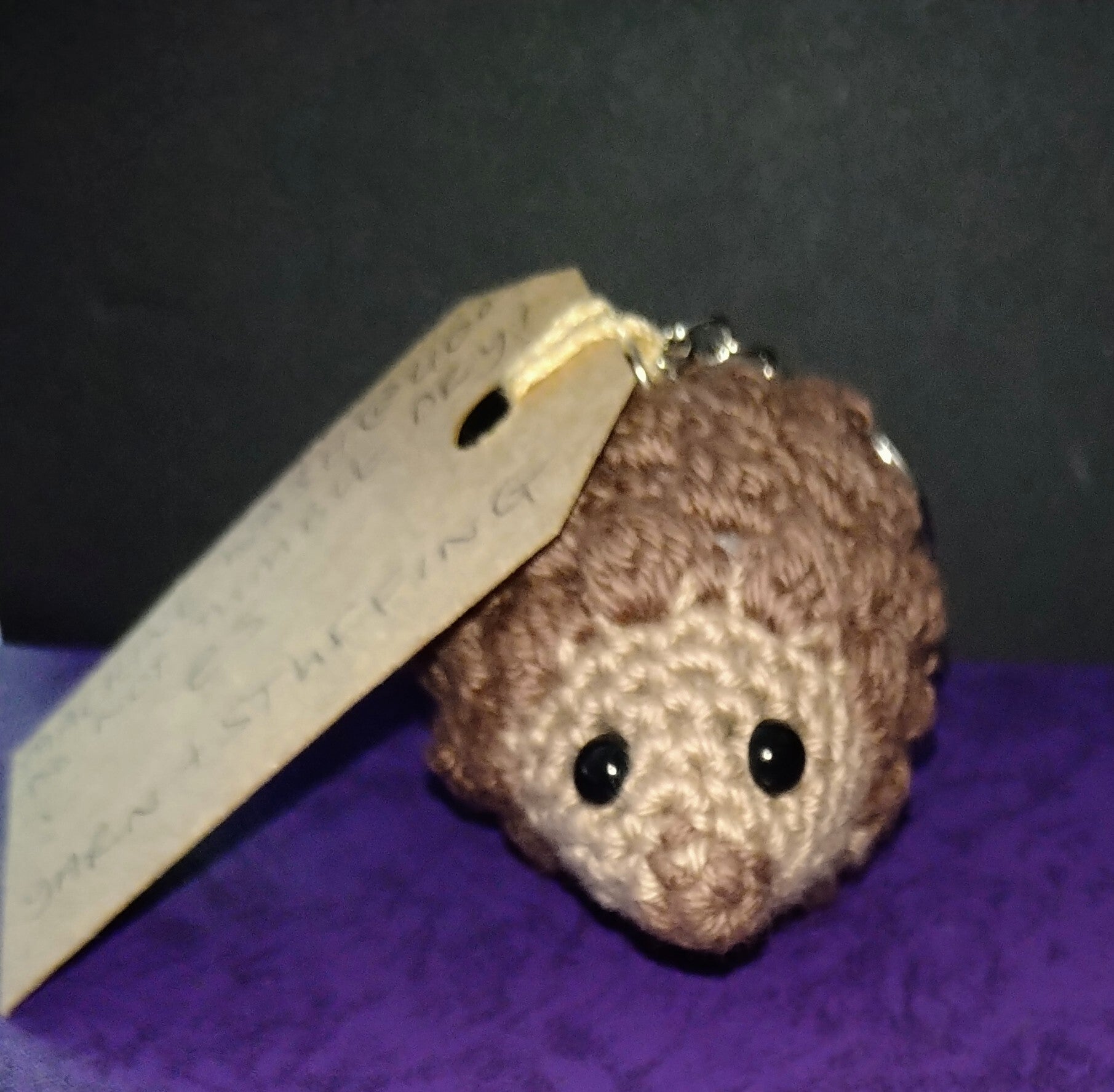 Hedgehog keyrings